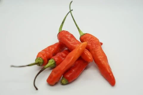 Red chili 库存照片