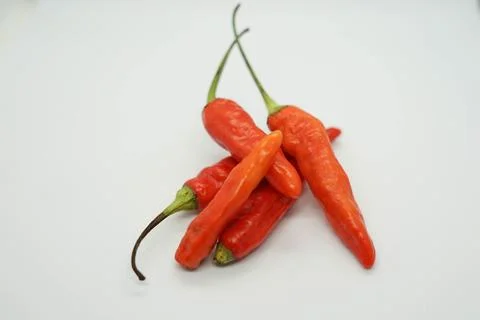 Red chili 库存照片