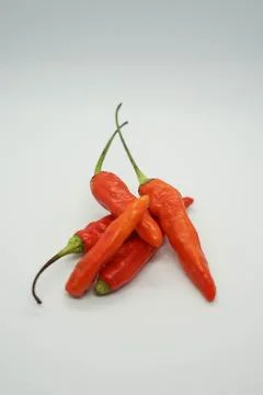 Red chili 库存照片