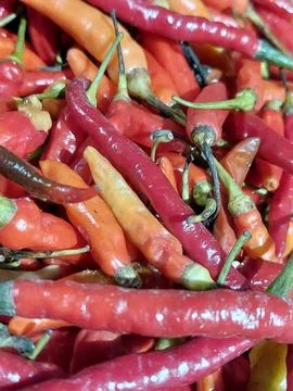 Red Chili Stock Photos