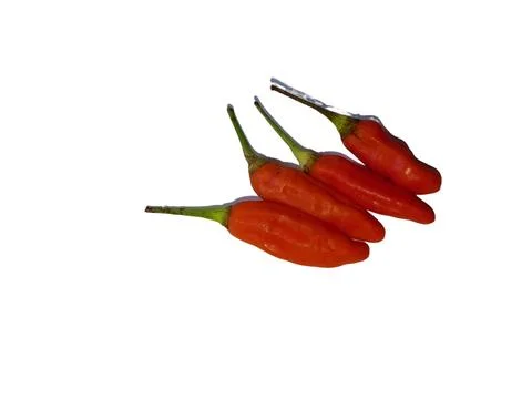 Red chili Stock Photos
