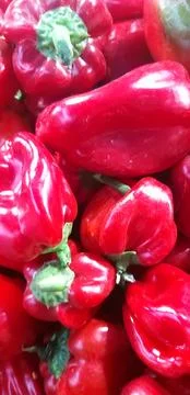 Red chili Stock Photos