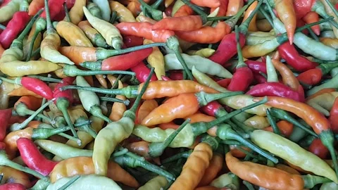 Red chili texture in Indonesia Stock Footage 312244102