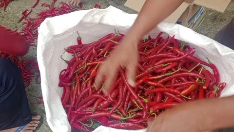Red chilies Stock Footage 274060575