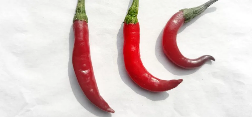 Red chilies isolated on a white background. Three different size red chilies Foto stock