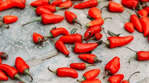 Red Chilies lying on the ground. Stock Photos