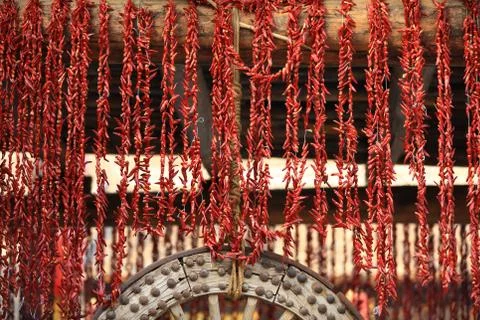 Red chilies Stock Photos