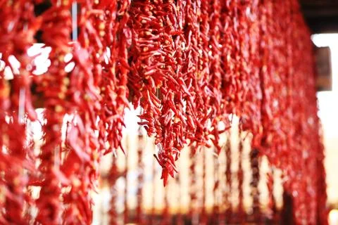 Red chilies Stock Photos