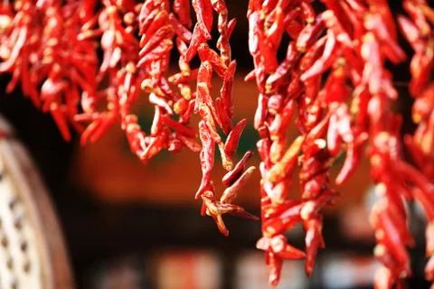 Red chilies Stock Photos