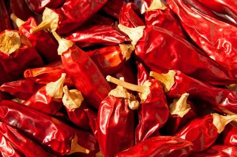 Red Chilies Stock Photos