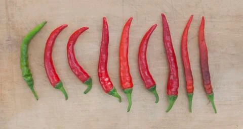 Red chili's Stock Photos