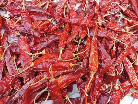 Red chilli background  Foto stock