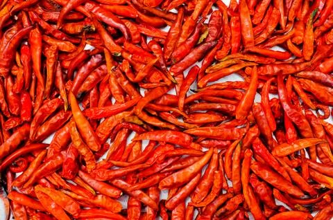 Red chilli drying Stock Photos