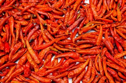 Red chilli drying Stock Photos
