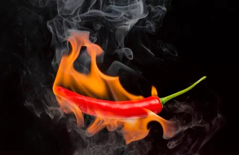 Red chilli with flame, black background, the concept of spicy - pictures Stock Photos
