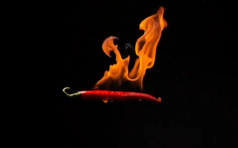 Red chilli with flame, black background, the concept of spicy - pictures Stock-Fotos