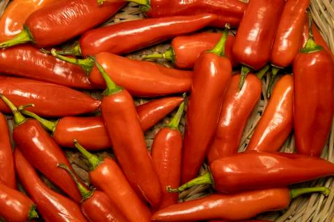 Red chilli hot pepper for background use Stock Photos