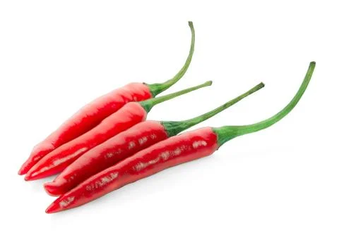 Red chilli isolated on white background Stock Photos