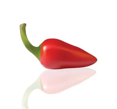Red chilli isolated on white Stock Illustration