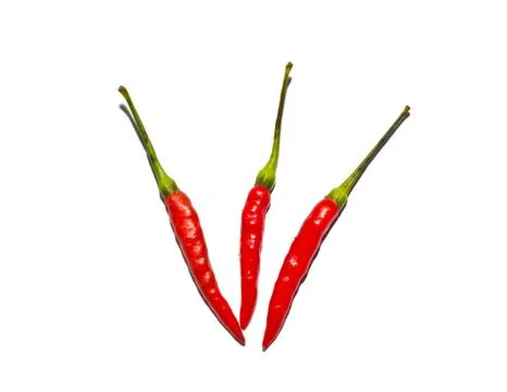 Red chilli isolated on white Stock Photos