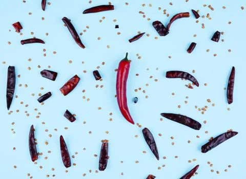 Red chilli papper on blue background. Stock Photos