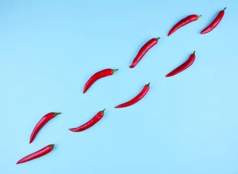 Red chilli papper on blue background. Stock Photos