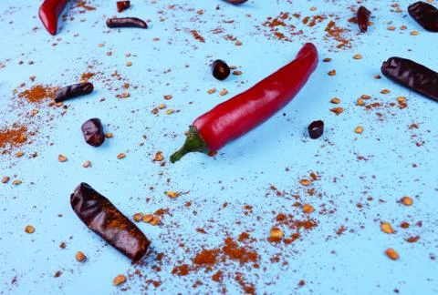 Red chilli papper on blue background. Stock Photos