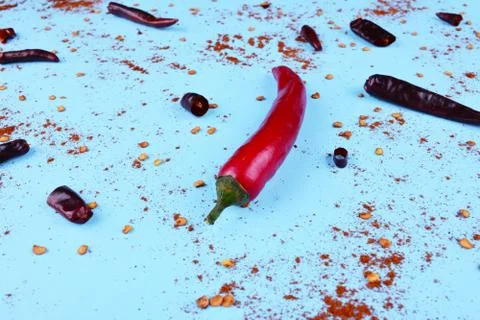 Red chilli papper on blue background. Stock Photos