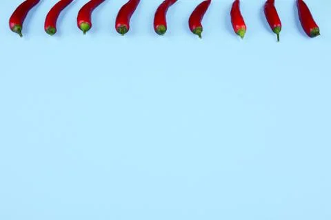 Red chilli papper on blue background. Stock Photos