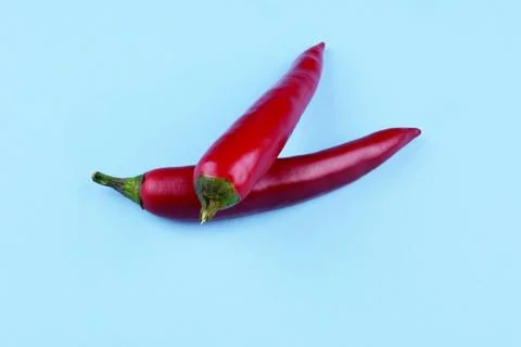 Red chilli papper on blue background. Stock Photos