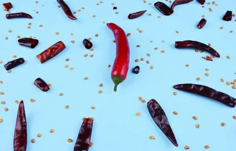 Red chilli papper on blue background. Stock Photos