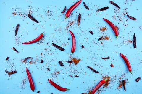 Red chilli papper on blue background. Stock Photos