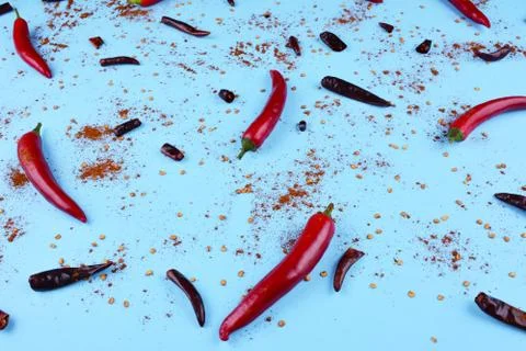 Red chilli papper on blue background. Stock Photos