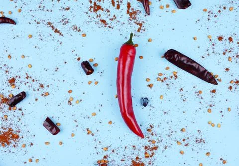 Red chilli papper on blue background. Stock Photos