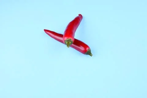 Red chilli papper on blue background. Stock Photos