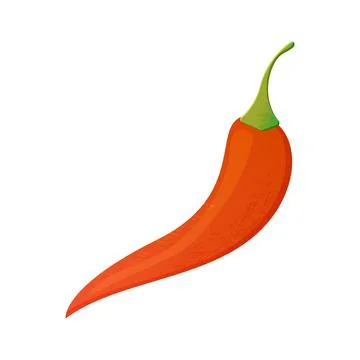 Red chilli paprika red chilli pepper vector Stock Illustration