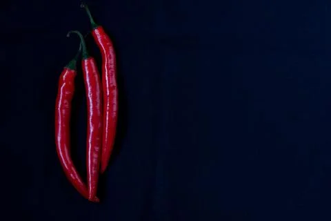 Red chilli pepper background dark blue cloth Stock Photos