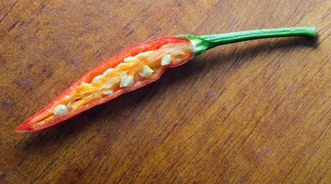 Red chilli pepper closeup Stock Photos