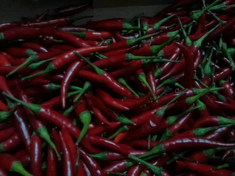 Red chilli pepper culinary raw vegetable seasoning chilli pepper Stock Photos
