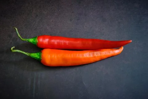 Red chilli pepper on dark background Stock Photos