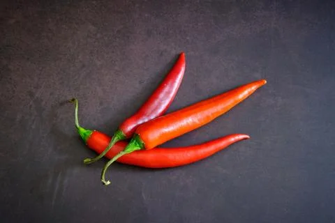 Red chilli pepper on dark background Stock Photos