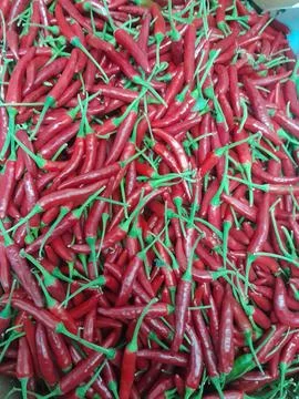 Red chilli pepper organic culinary vegetable food Stock Photos