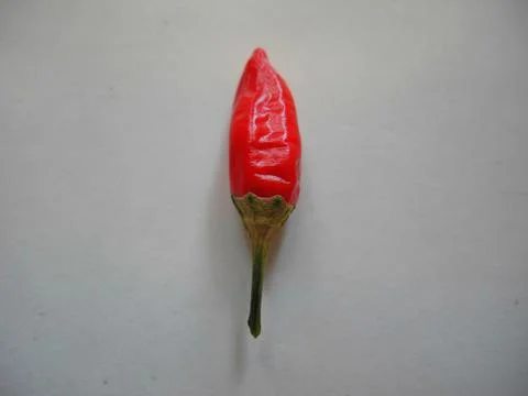 Red chilli pepper Stock Photos