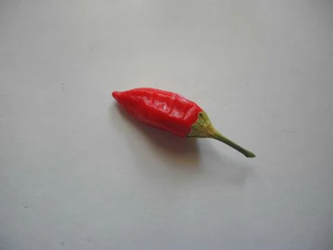 Red chilli pepper Foto stock
