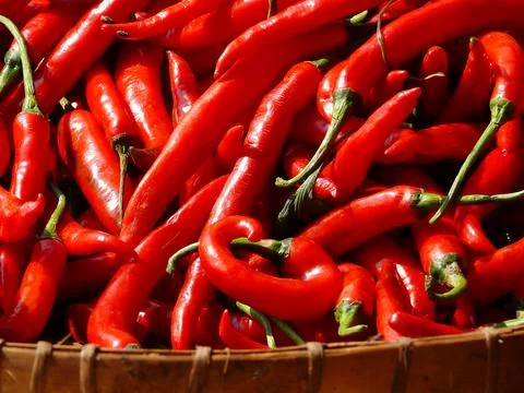 Red Chilli Pepper Stock Photos