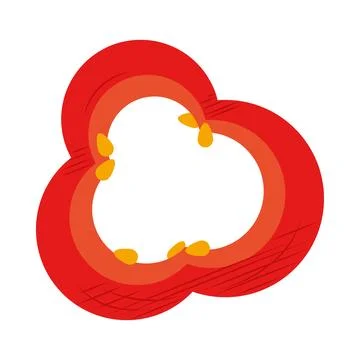 Red chilli pepper slice Stock Illustration