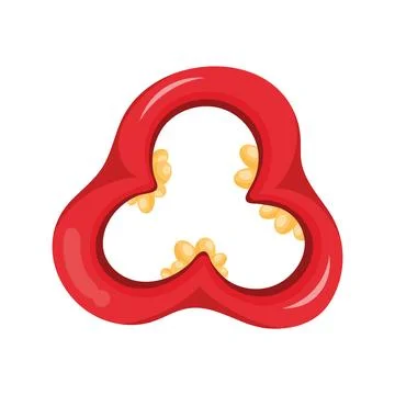Red chilli pepper sliced Stock Illustration