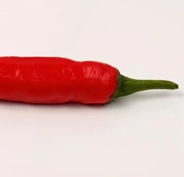 Red chilli pepper on a white background Stock Photos