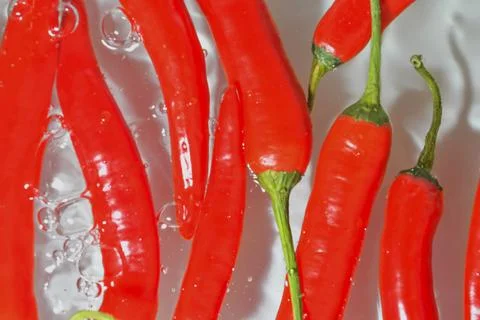 Red chilli peppers close-up in liquid with bubbles. Red chilli peppers with Stock-Fotos