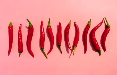 Red chilli peppers horizontal row on pink background. Hot pepper Stock Photos